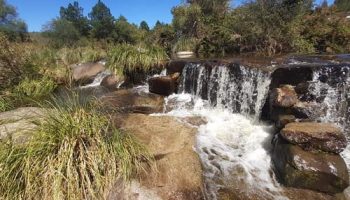 Factibilidad / Autorización de vertido de efluentes – Decreto 847/16